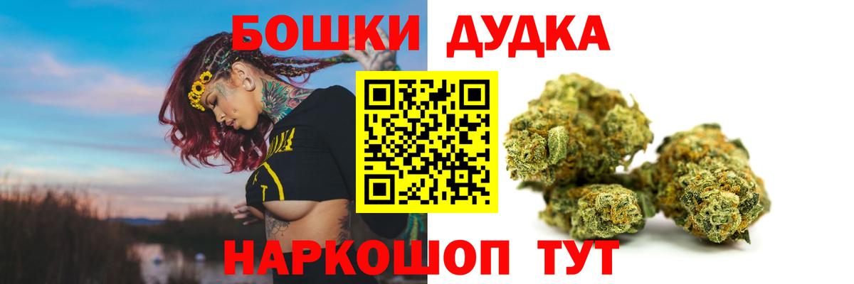 Псилоцибиновые грибы Губкин